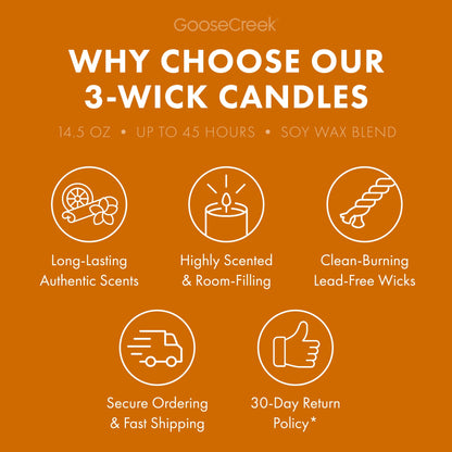 Butterscotch & Marshmallow Cream 3-Wick Candle