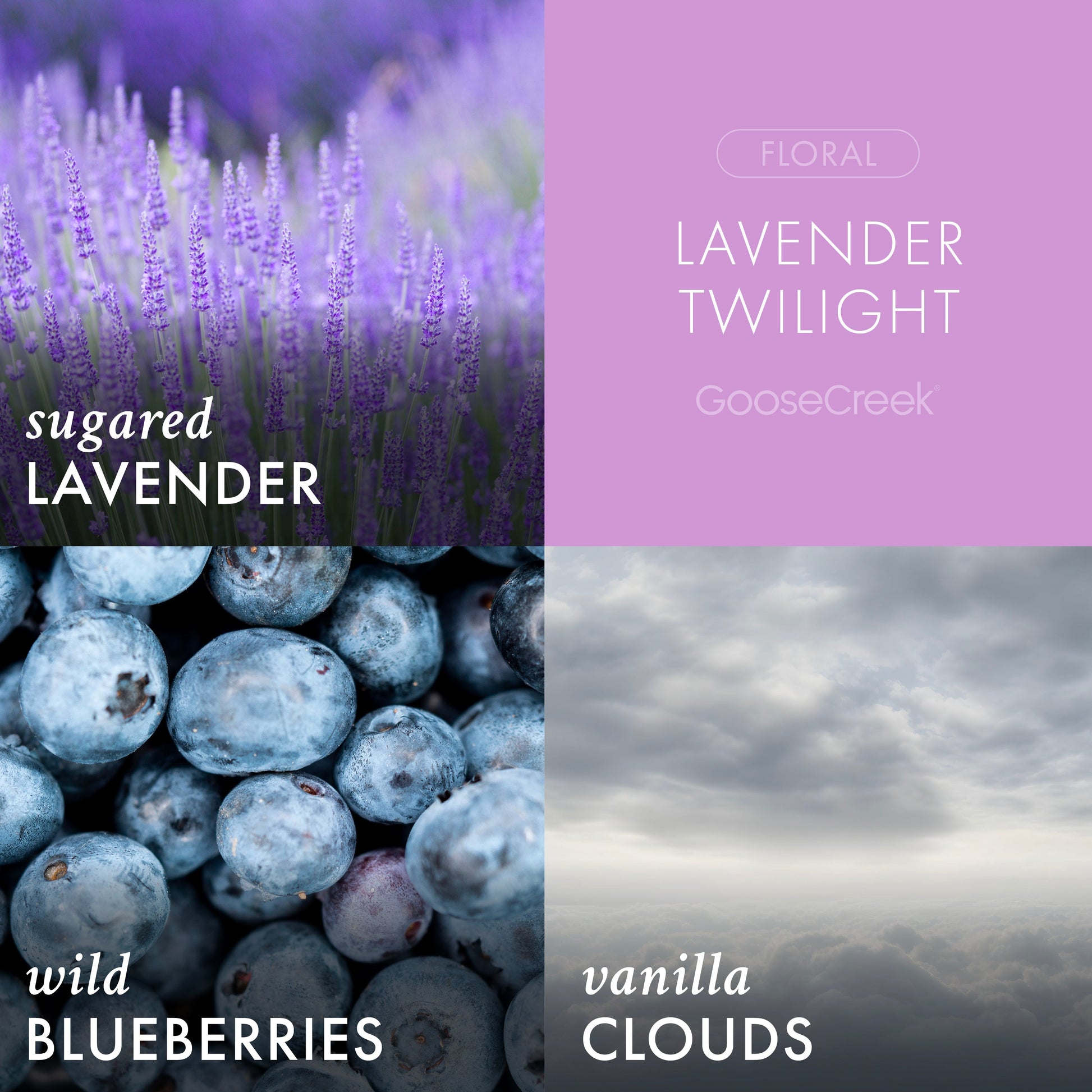 Lavender Twilight 3-Wick Candle