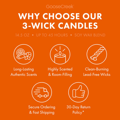 Maui Mango Passion 3-Wick Candle