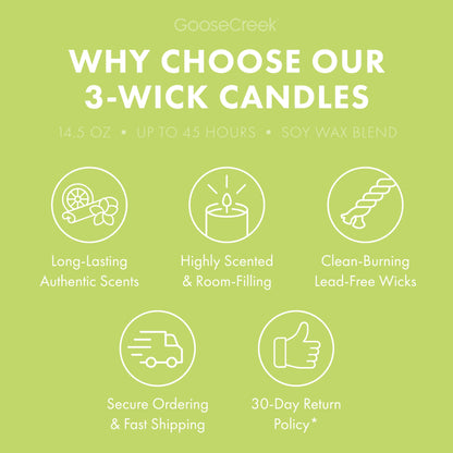 Patchouli Leaves 3-Wick Candle