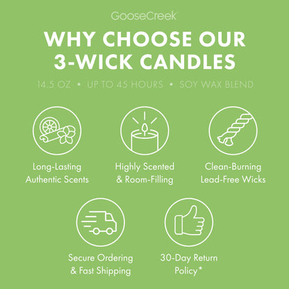 Sunfruit Nectar 3-Wick Candle